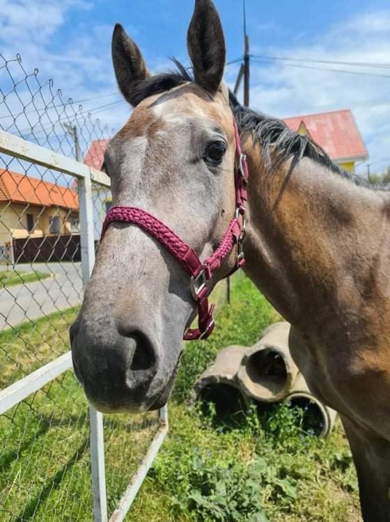 Agro Privat Hotel Hrabušice Eksteriør billede