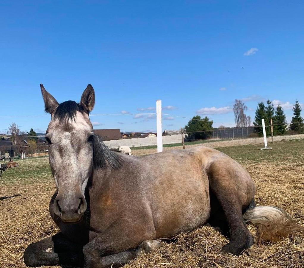 Agro Privat Hotel Hrabušice Eksteriør billede